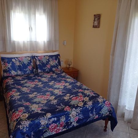 Alexandros Rooms & Studios Szkópelosz Kültér fotó